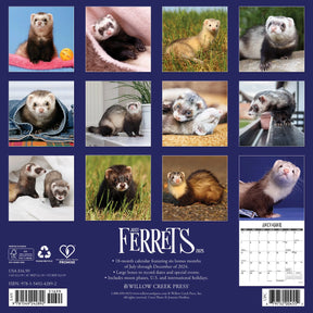 2025 Ferrets Calendar