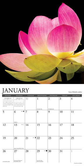 2025 Flowers Calendar