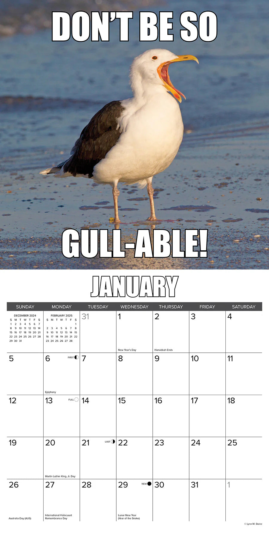 2025 Fowl Language Calendar