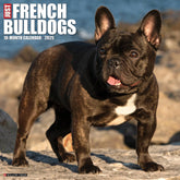 2025 French Bulldogs Calendar