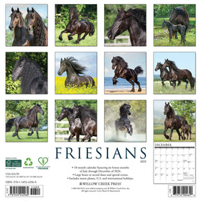 2025 Friesians Calendar