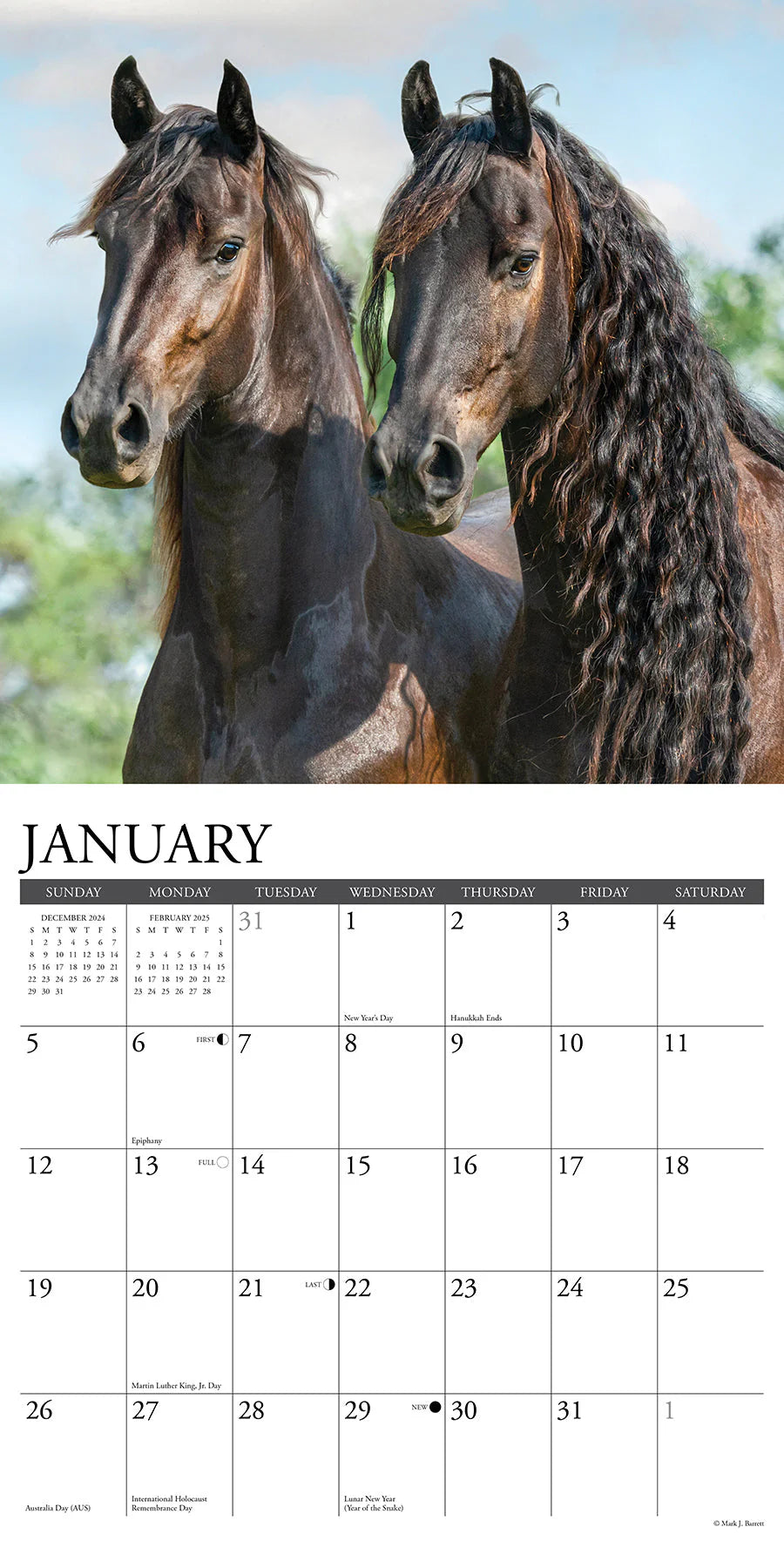 2025 Friesians Calendar