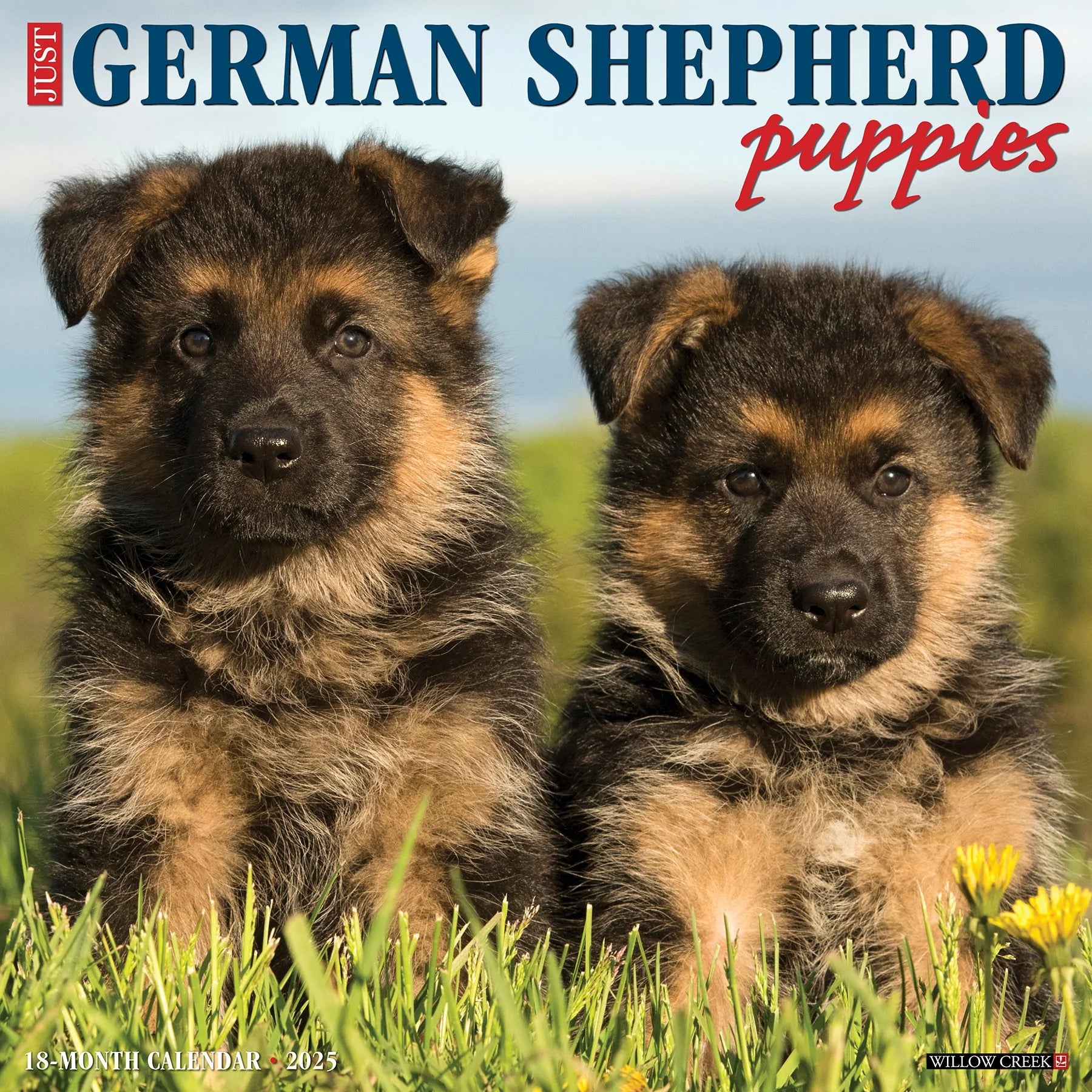 2025 German Shepherd Puppies Calendar