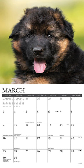 2025 German Shepherd Puppies Calendar