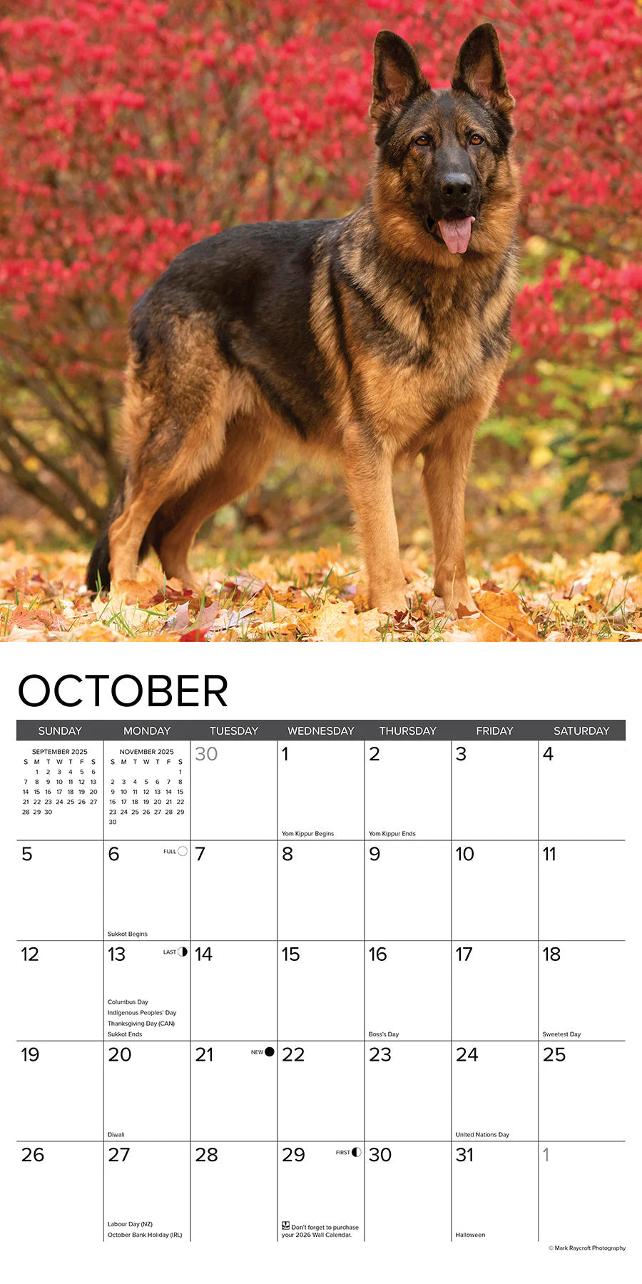 2025 German Shepherds Calendar