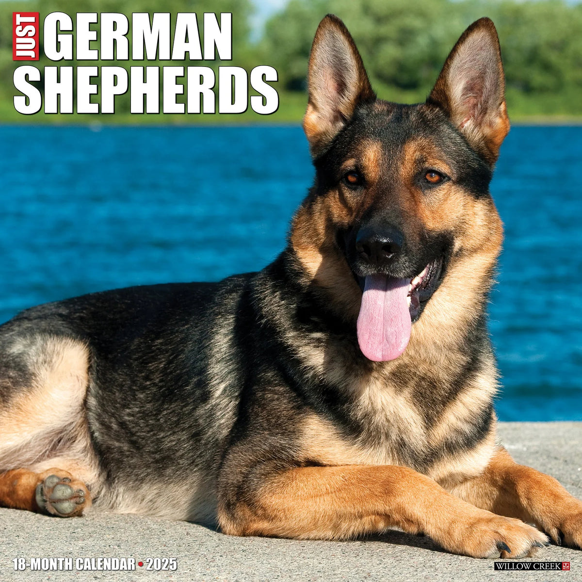 2025 German Shepherds Calendar