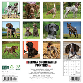 2025 German Shorthaired Pointers Calendar