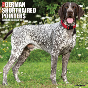 2025 German Shorthaired Pointers Calendar