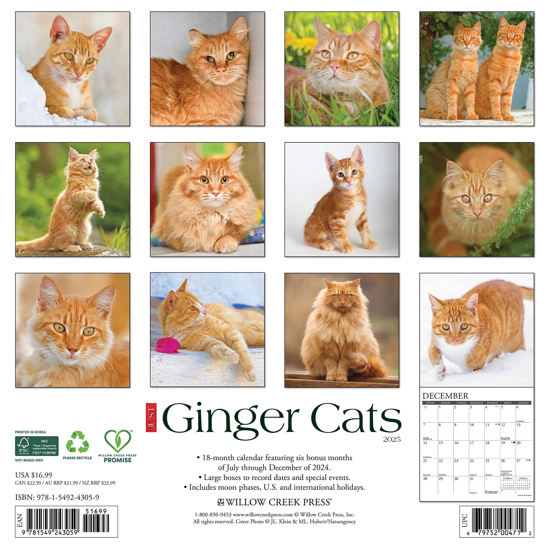 2025 Ginger Cats Calendar