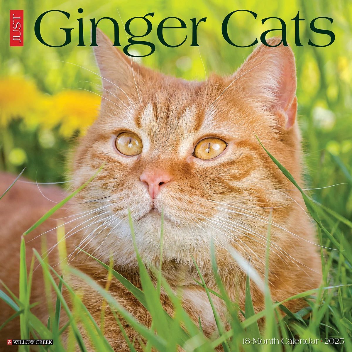 2025 Ginger Cats Calendar