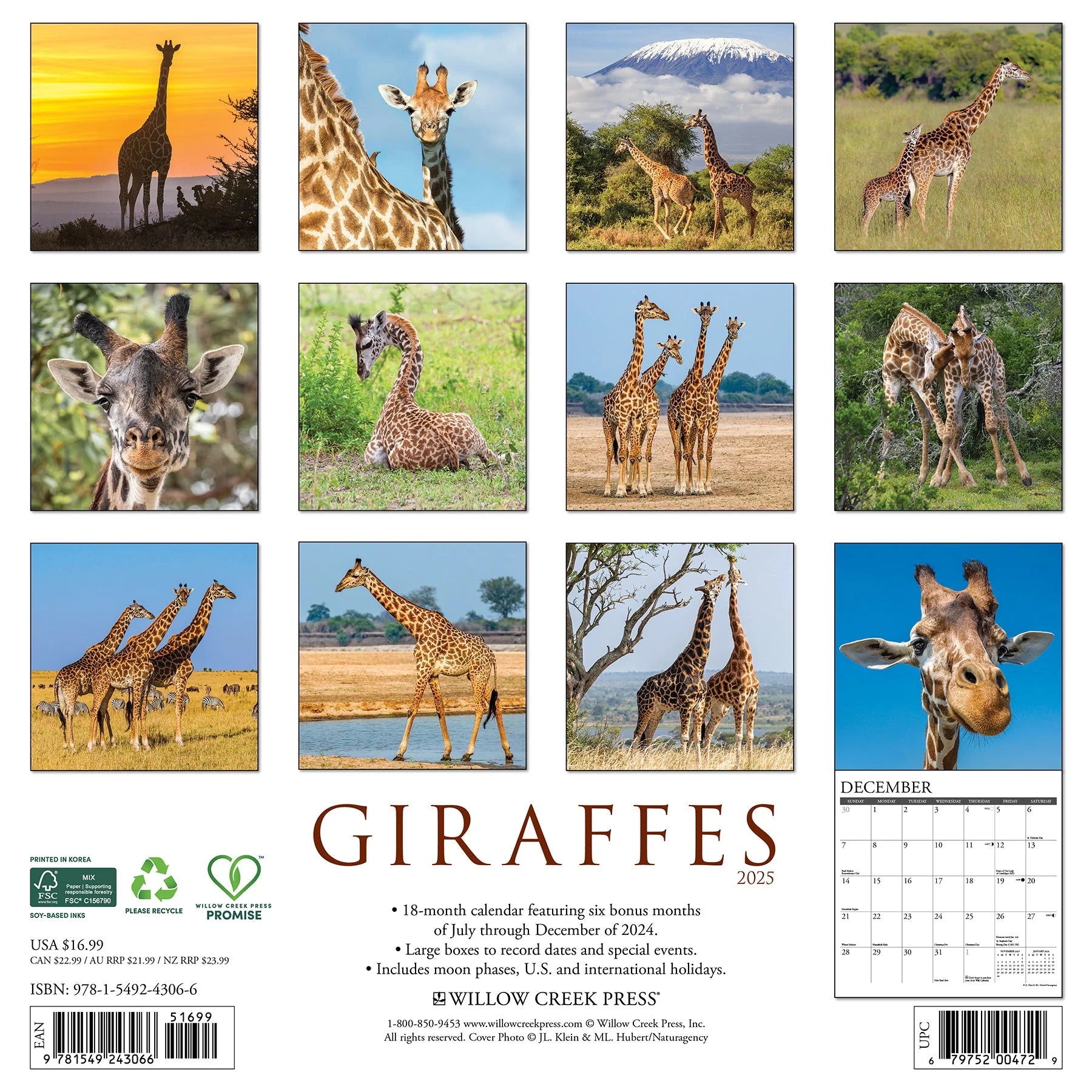 2025 Giraffes Calendar