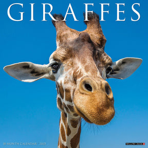 2025 Giraffes Calendar