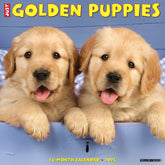 2025 Golden Puppies Calendar