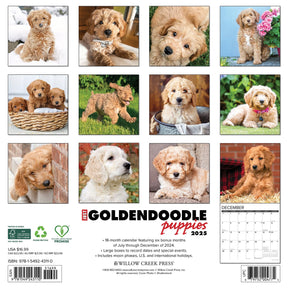 2025 Goldendoodle Puppies Calendar