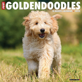 2025 Goldendoodles Calendar