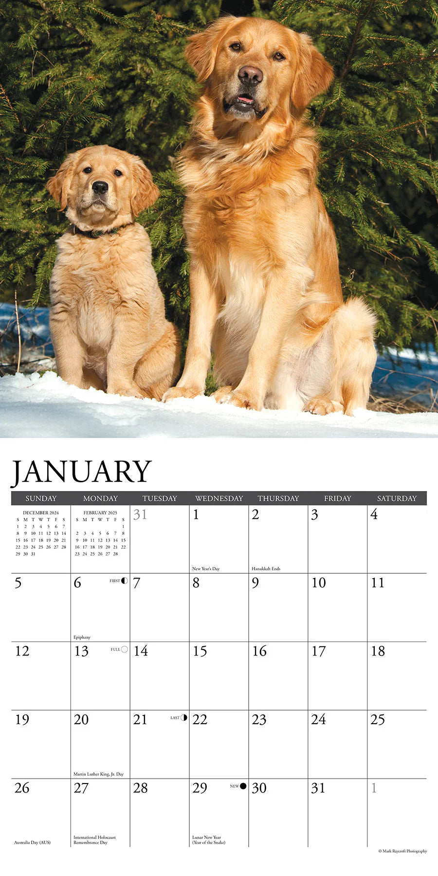 2025 Goldens Calendar