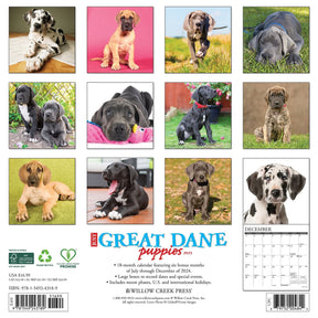 2025 Great Dane Puppies Calendar