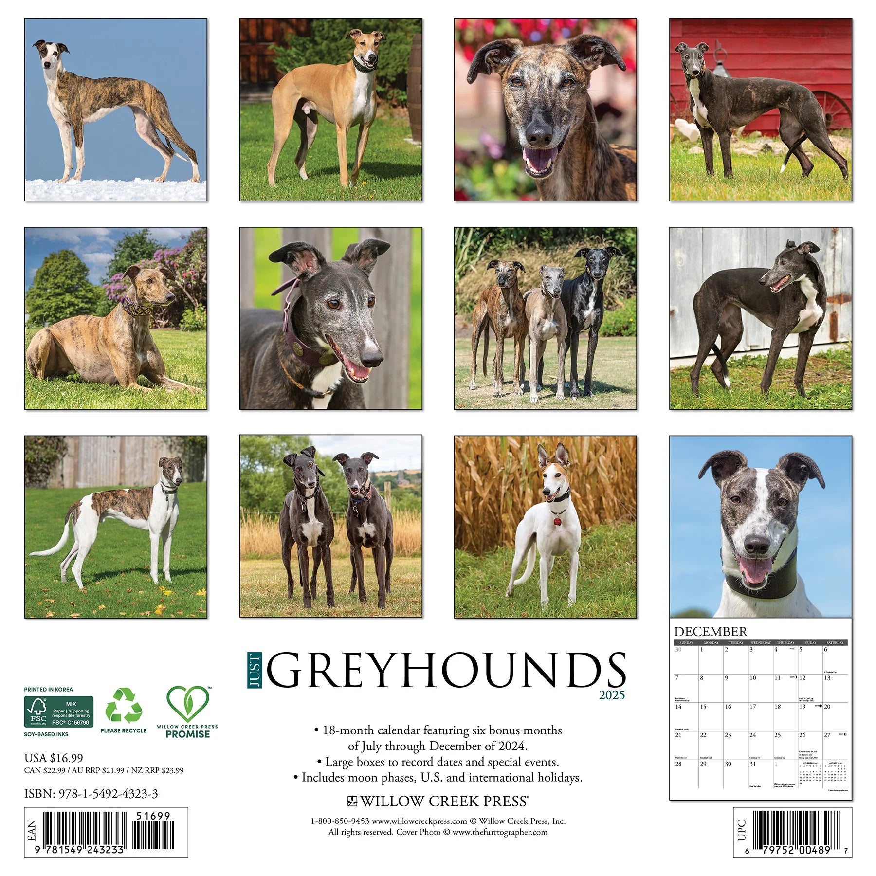 2025 Greyhounds Calendar