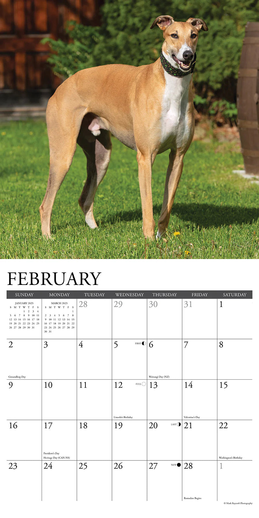 2025 Greyhounds Calendar