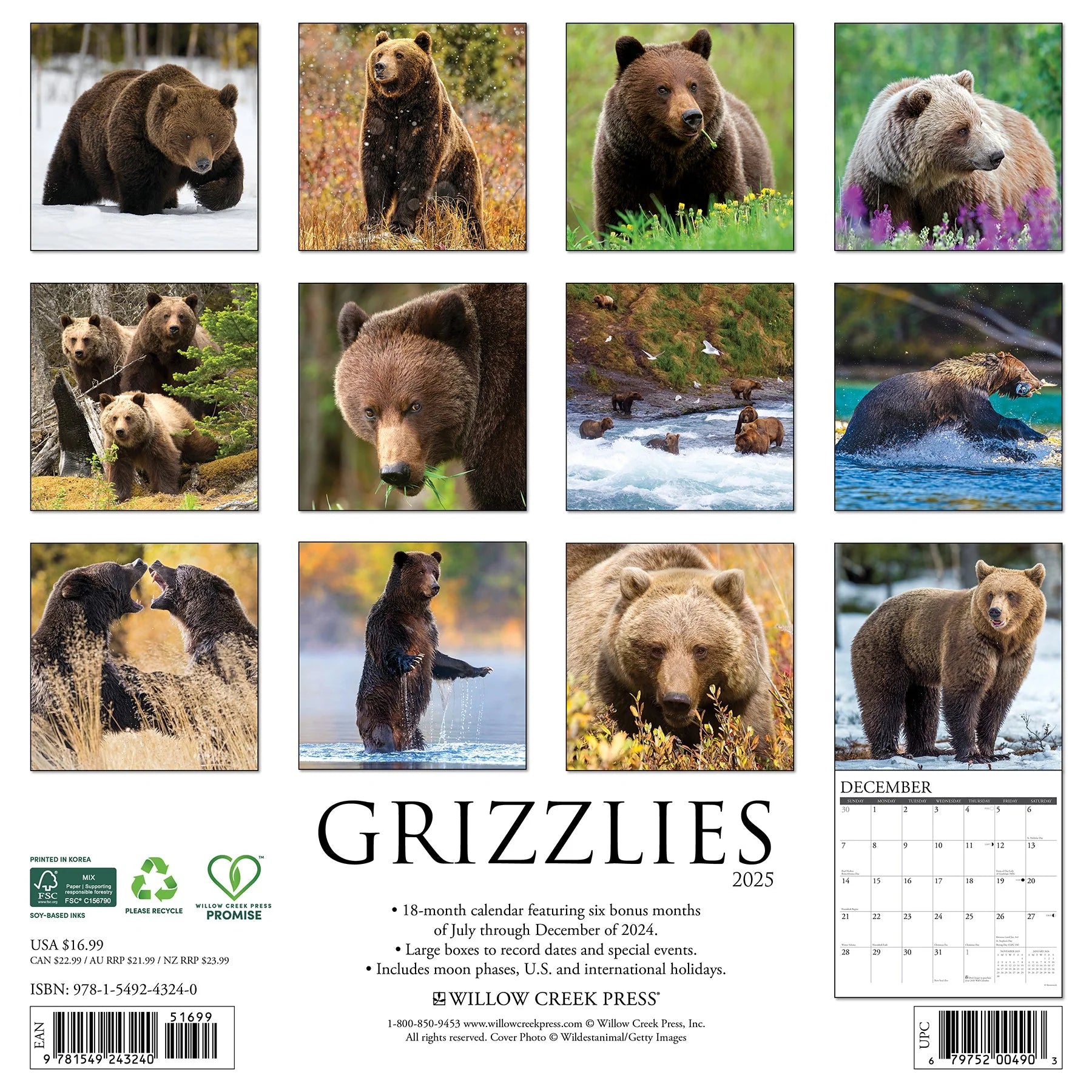 2025 Grizzlies Calendar