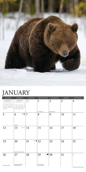 2025 Grizzlies Calendar