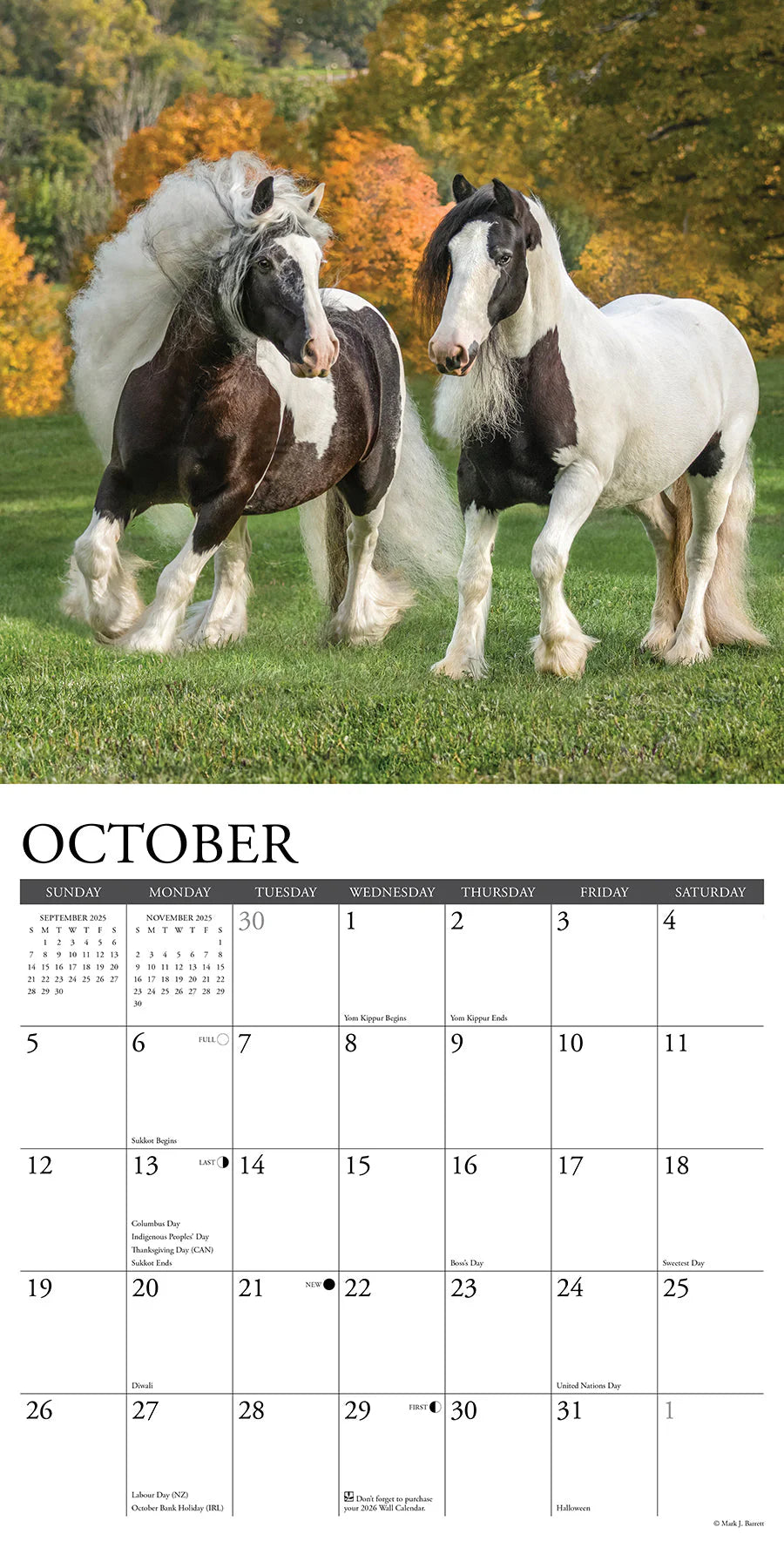 2025 Gypsy Vanner Horse Calendar