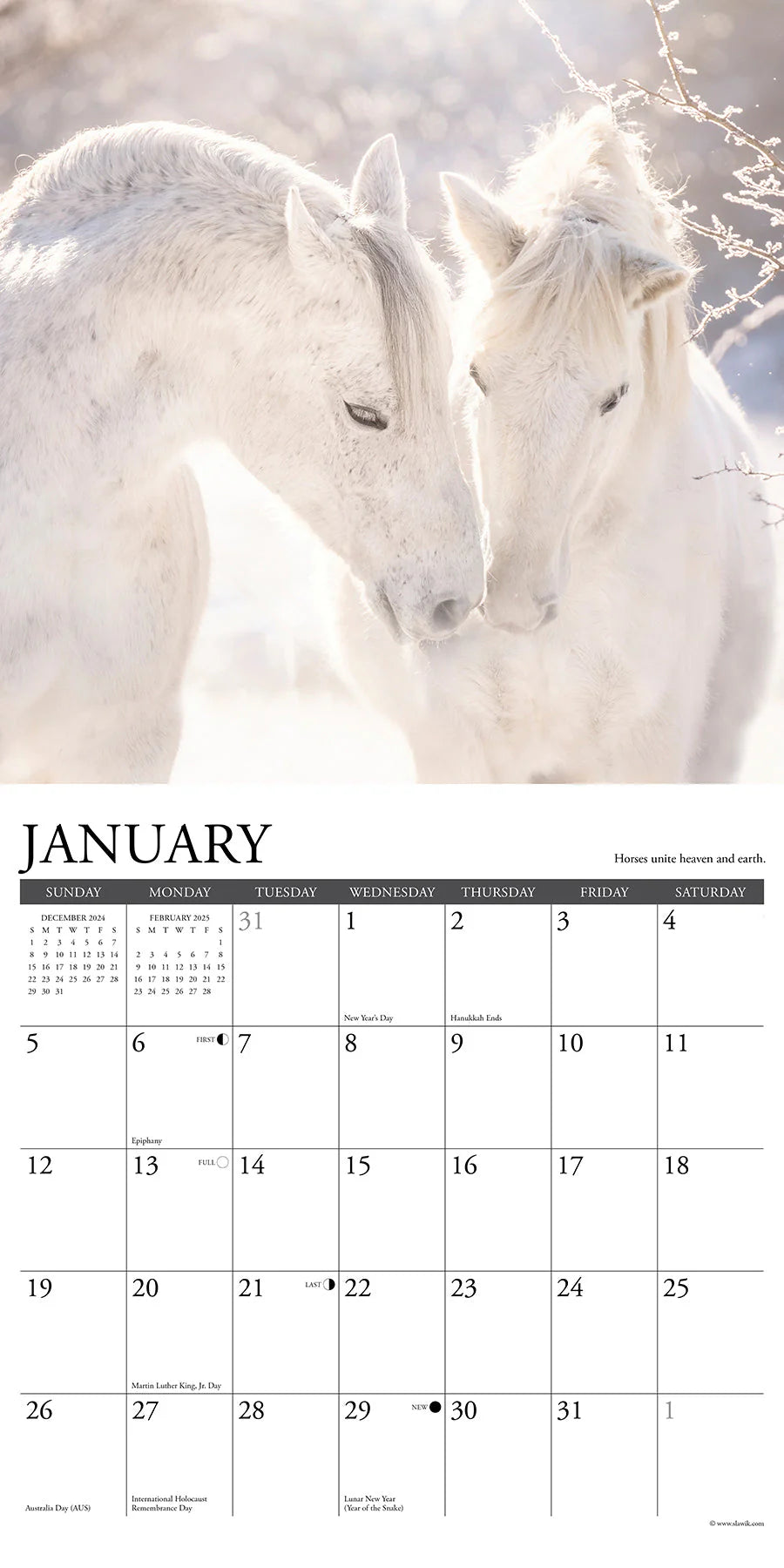 2025 Happiness Is A Horse Calendar