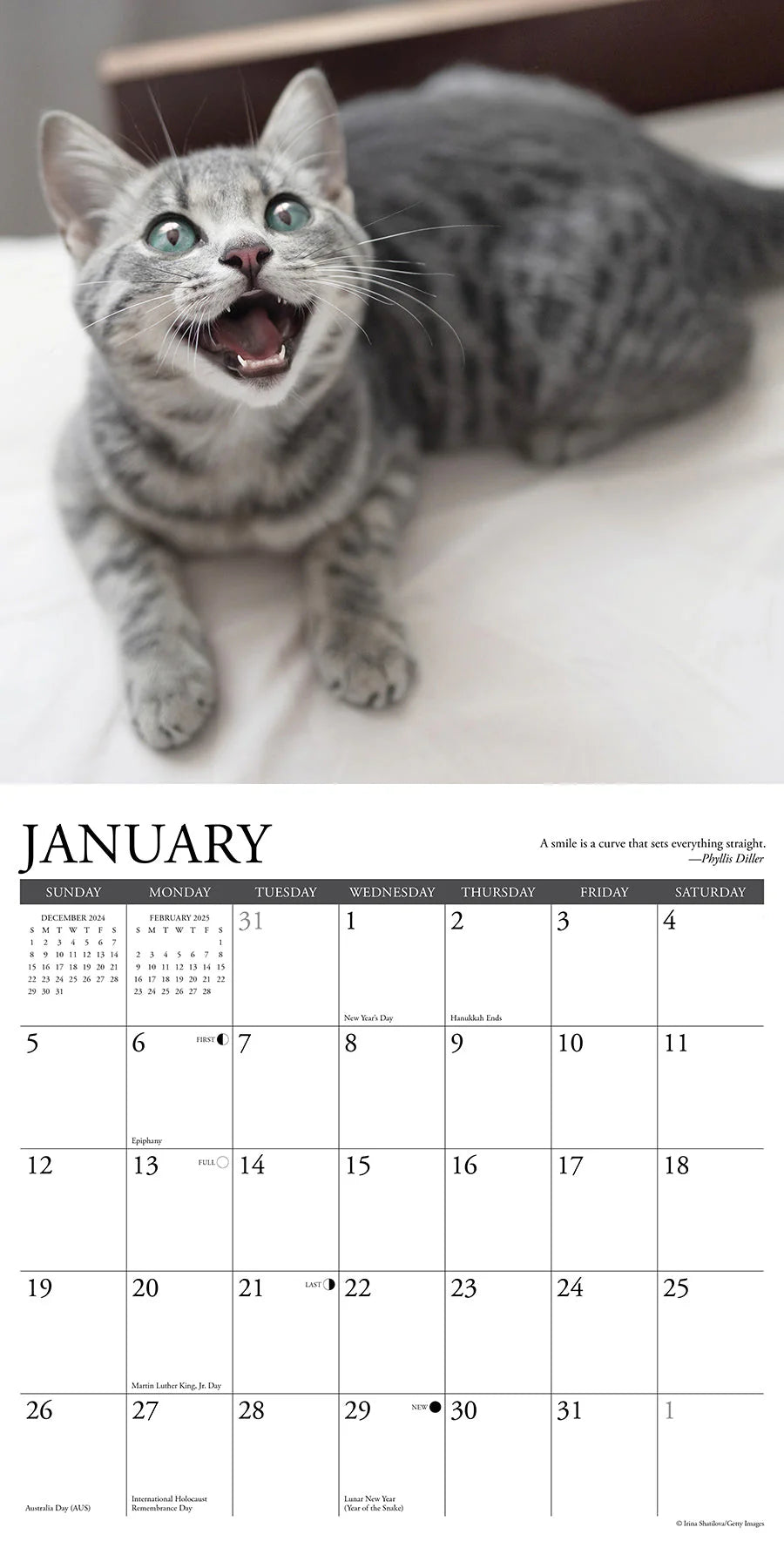 2025 Happy Cats Calendar