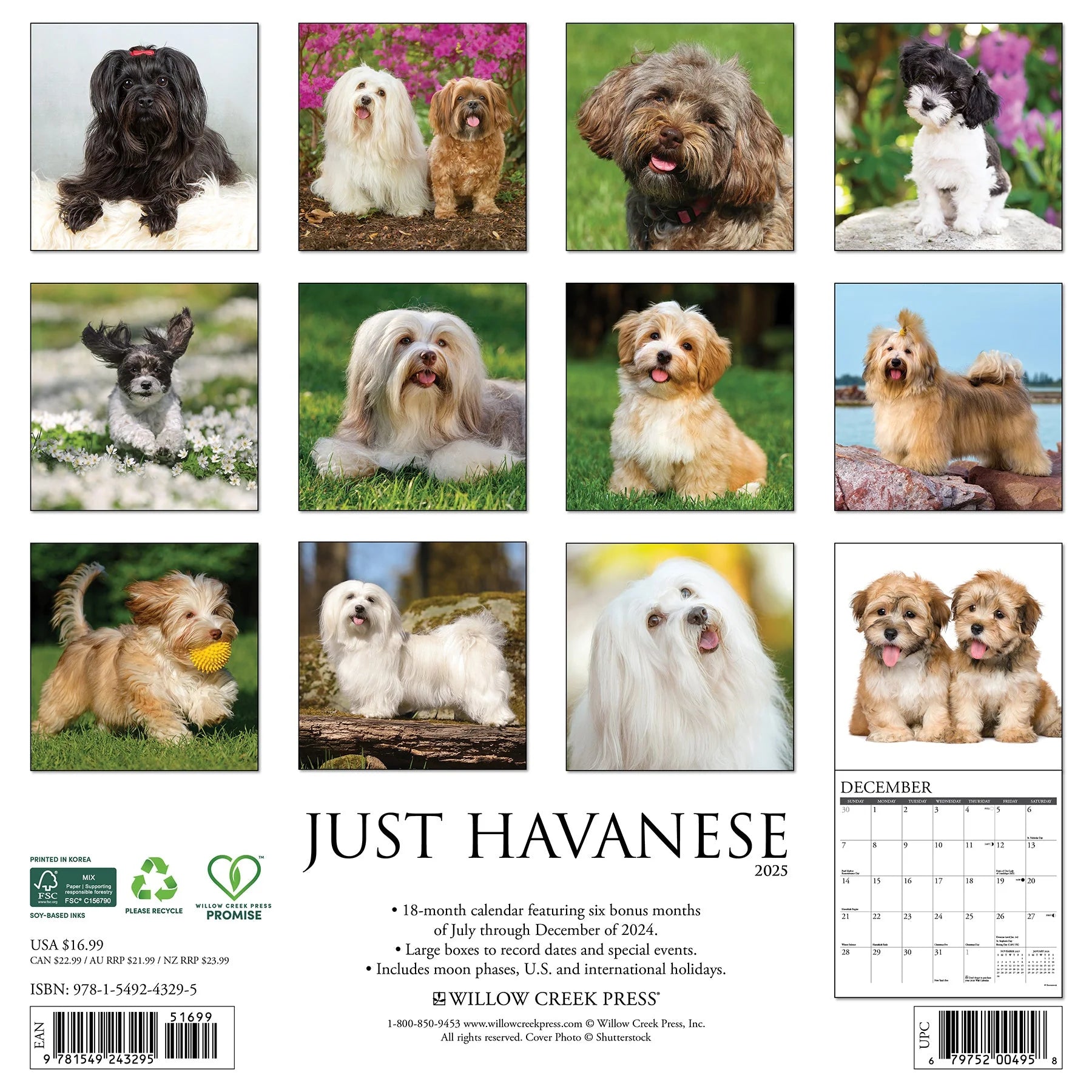 2025 Havanese Calendar