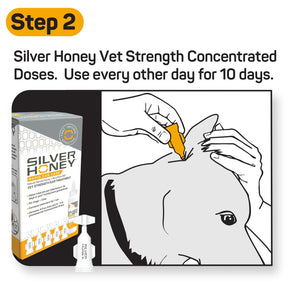 W. F. Young - Silver Honey Ear Treatment