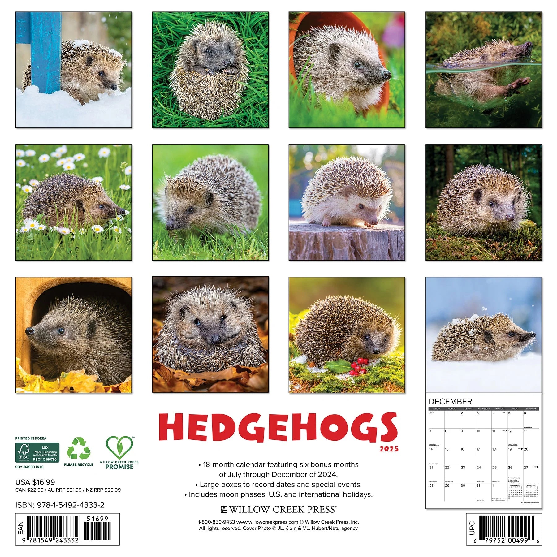 2025 Hedgehogs Calendar