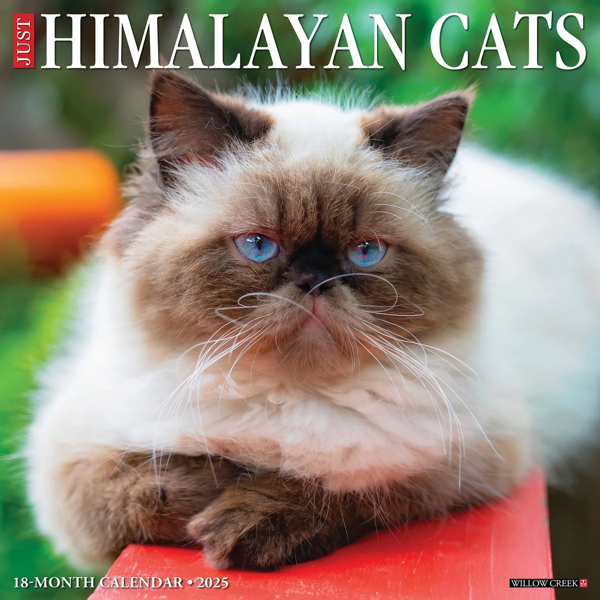 2025 Himalayan Cats Calendar