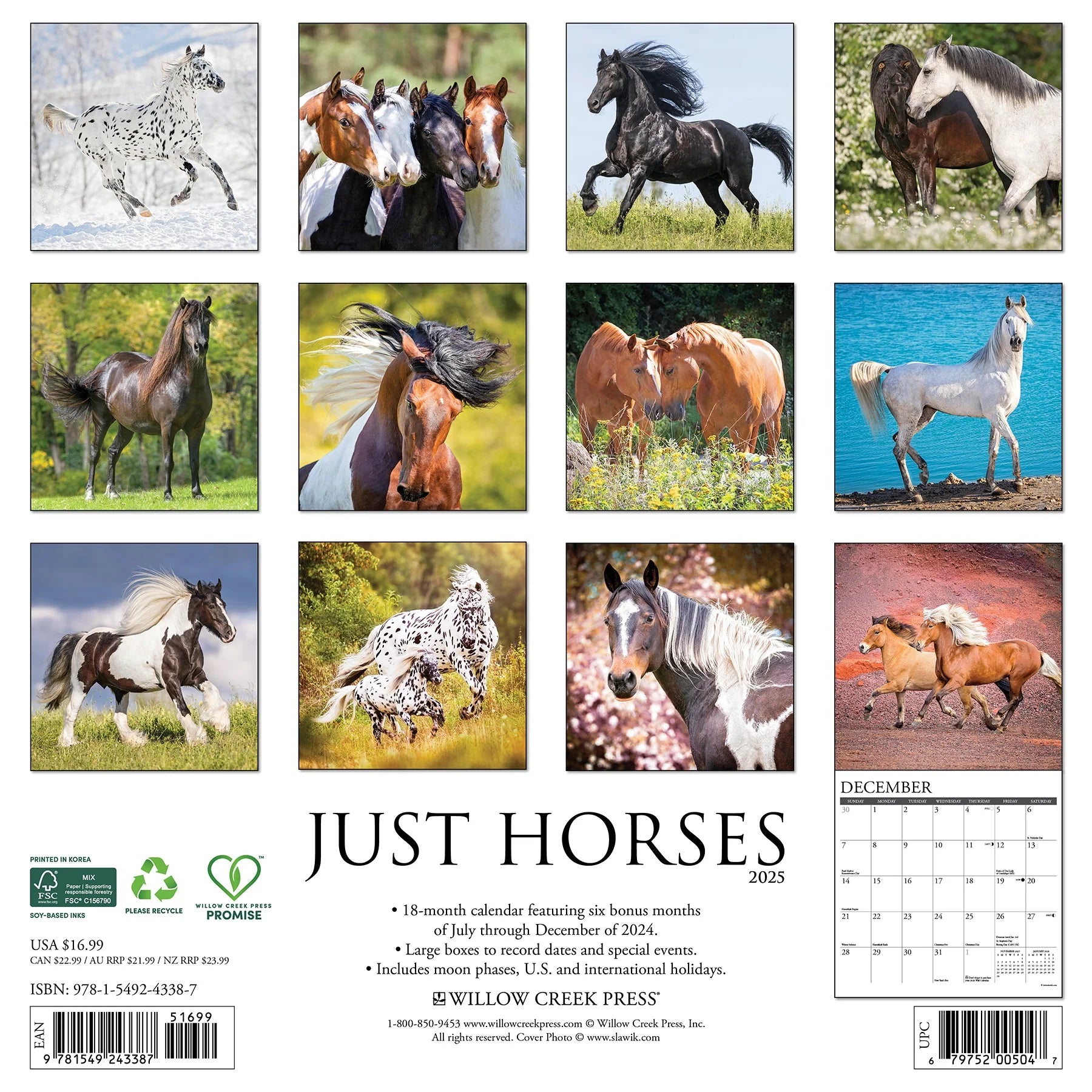 2025 Horses Calendar