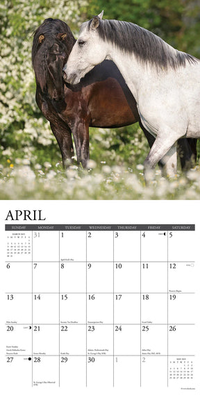 2025 Horses Calendar