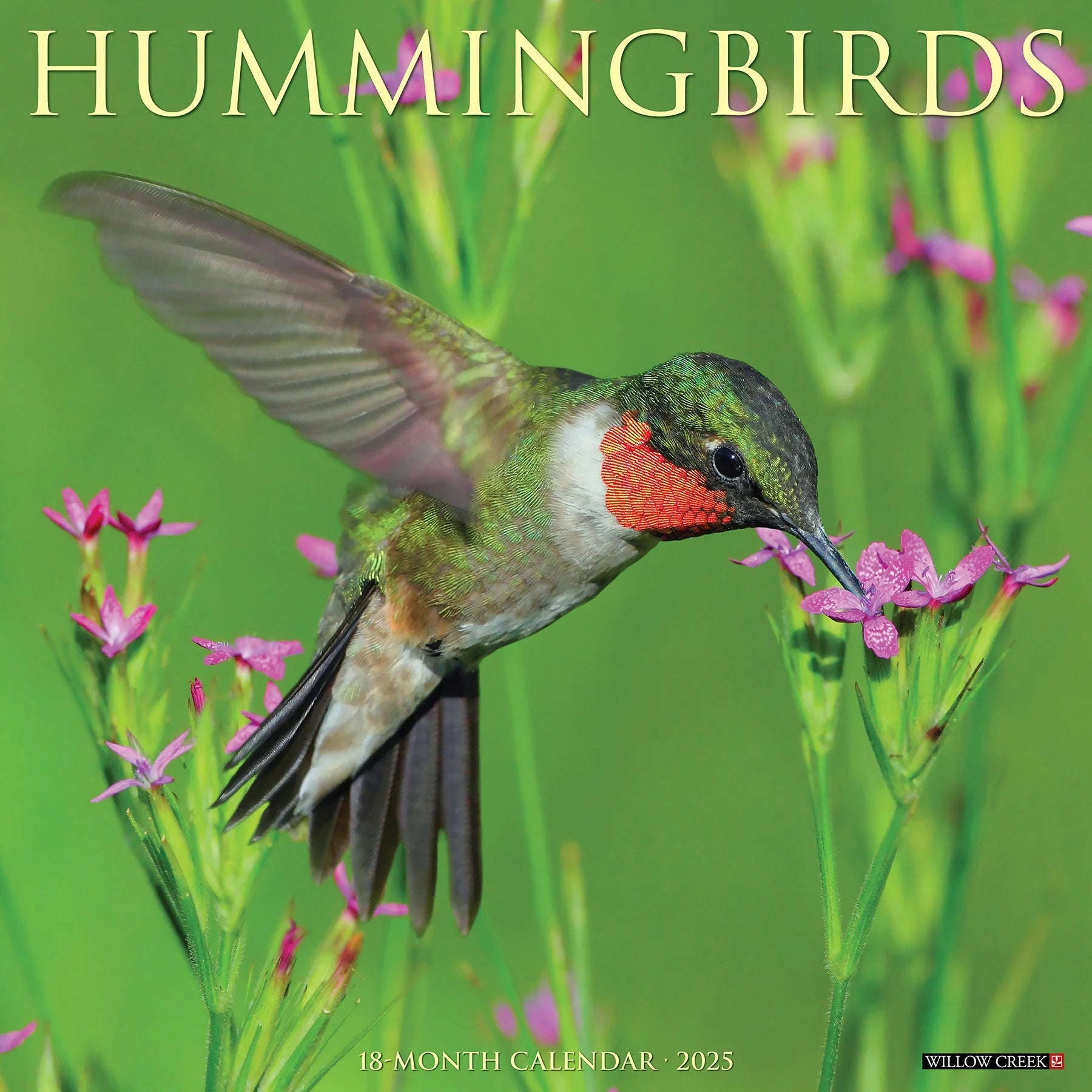 2025 Hummingbirds Calendar