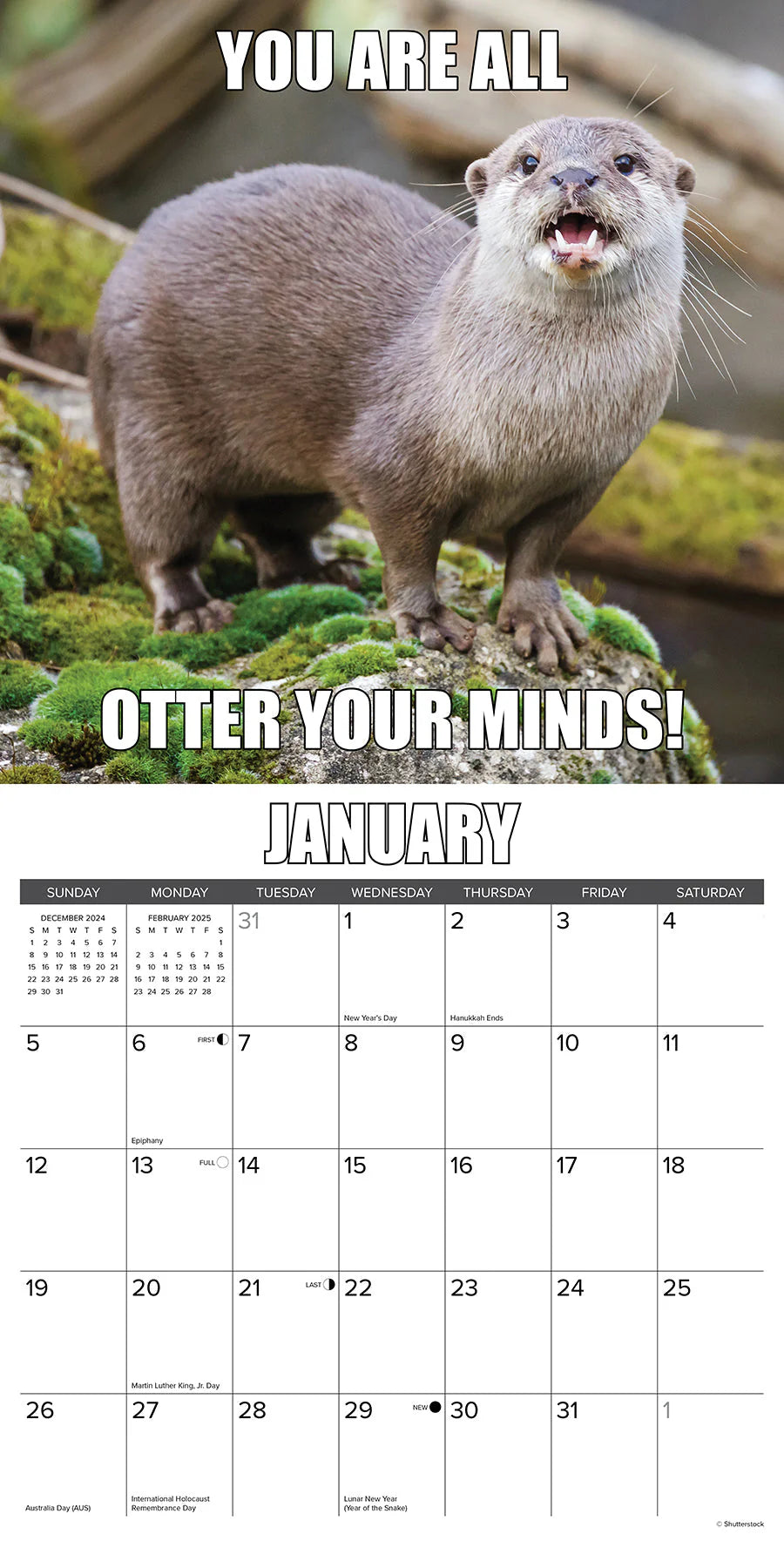 2025 In Otter News Calendar