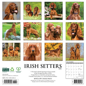 2025 Irish Setters Calendar