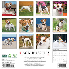 2025 Jack Russells Calendar