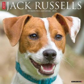 2025 Jack Russells Calendar