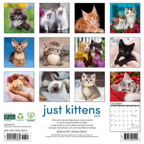 2025 Kittens Calendar