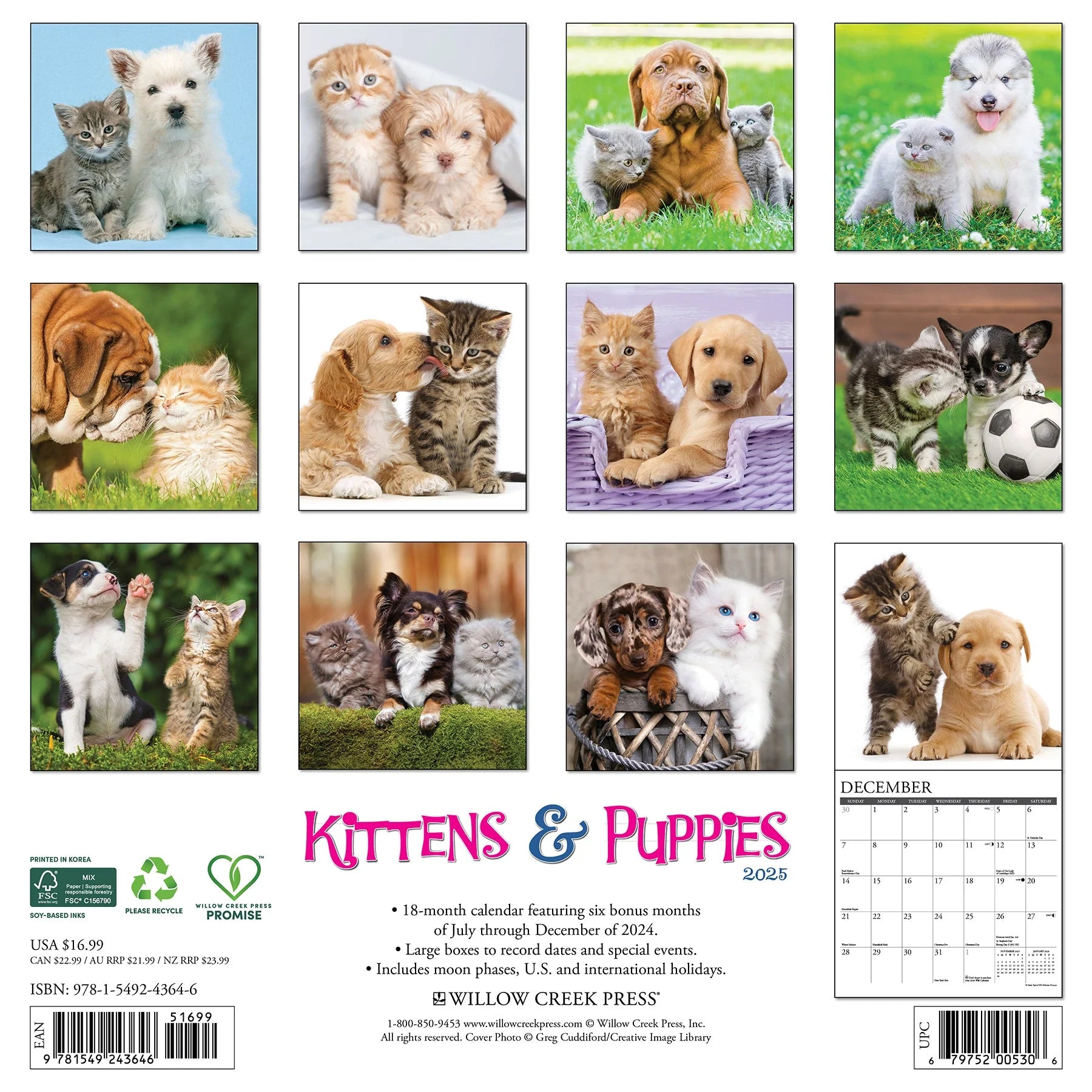 2025 Kittens & Puppies Calendar