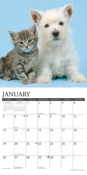 2025 Kittens & Puppies Calendar