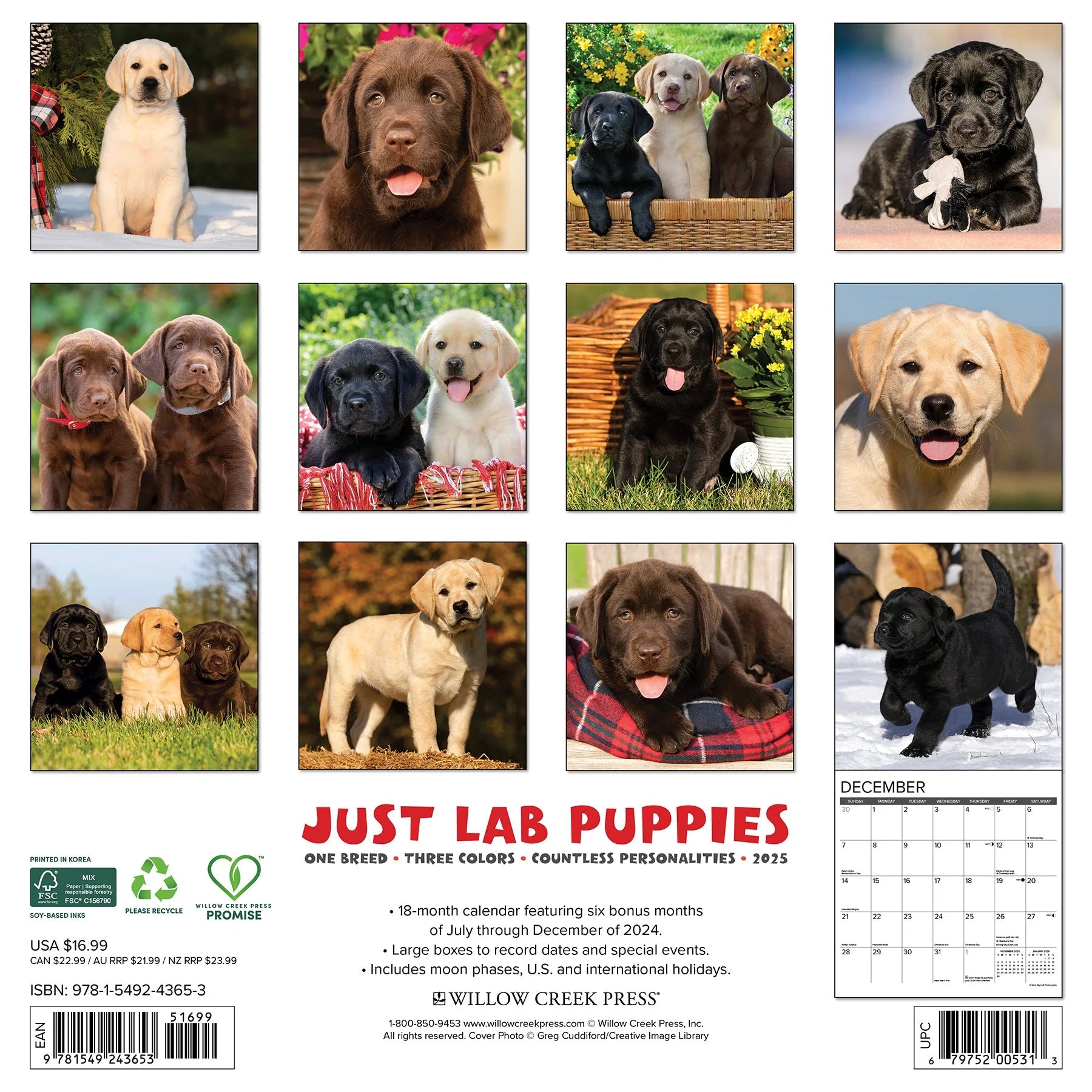 2025 Lab Puppies Calendar