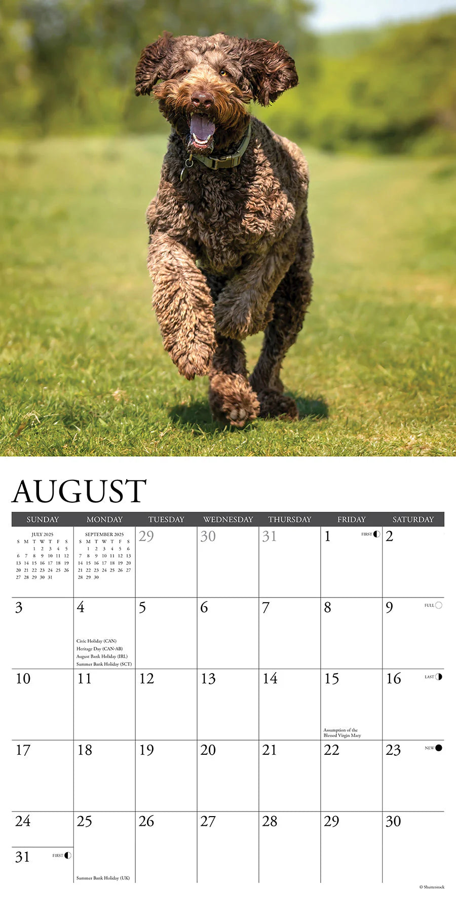 2025 Labradoodles Calendar