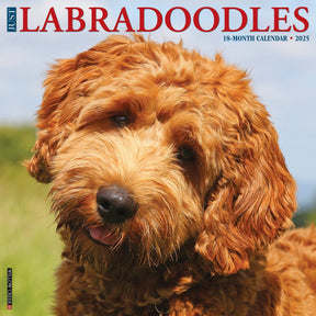 2025 Labradoodles Calendar