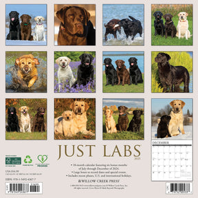 2025 Labs Calendar