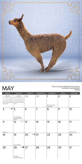 2025 Llama Yoga Calendar