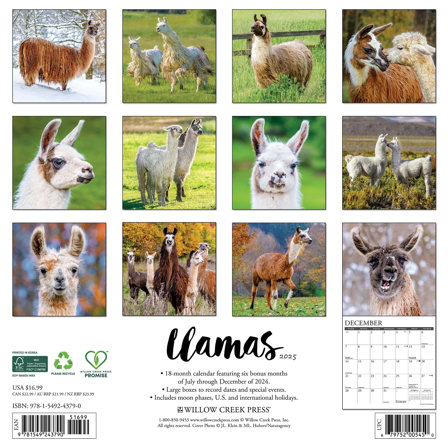 2025 Llamas Calendar