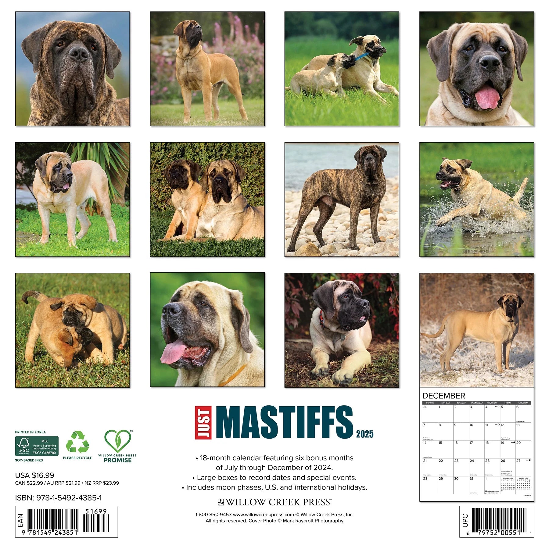 2025 Mastiffs Calendar