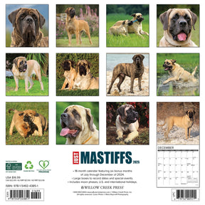 2025 Mastiffs Calendar